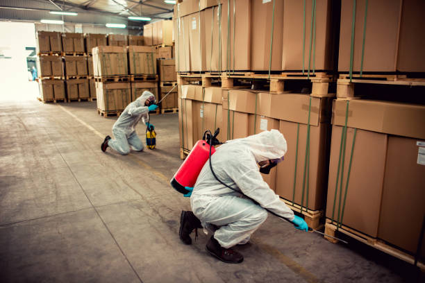 Best Termite Control Services  in Lebanon, VA
