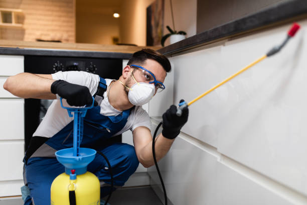 Best Cockroach Control Services  in Lebanon, VA