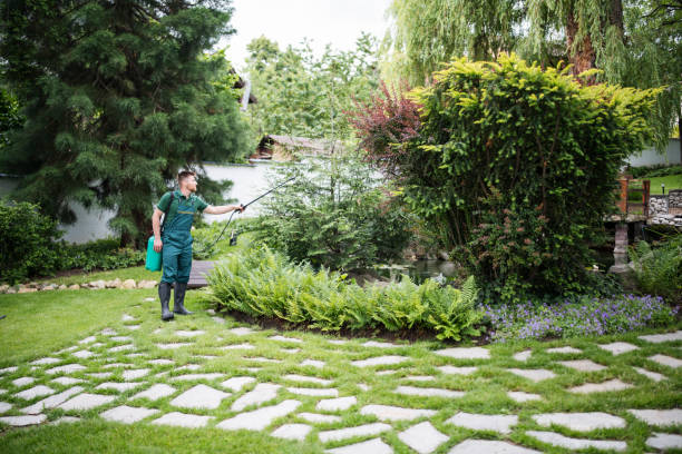 Best Ant Control Services  in Lebanon, VA