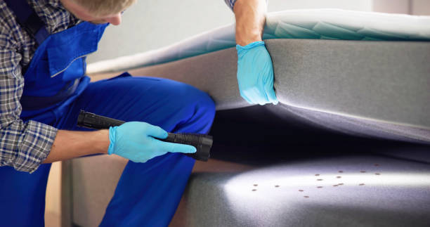 Best Rat Extermination Near Me  in Lebanon, VA