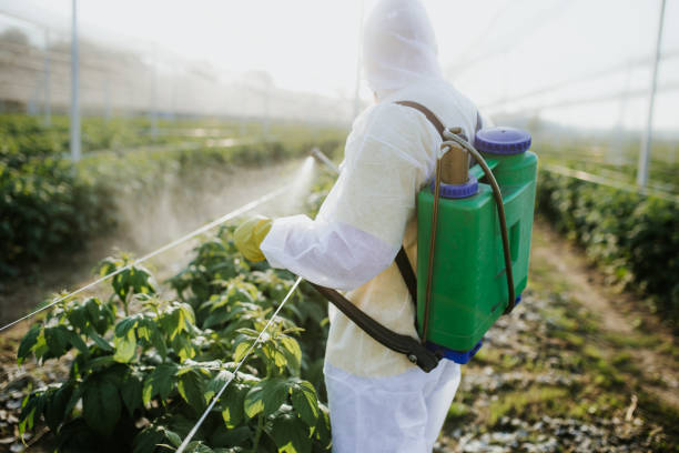 Best Affordable Pest Control Services  in Lebanon, VA